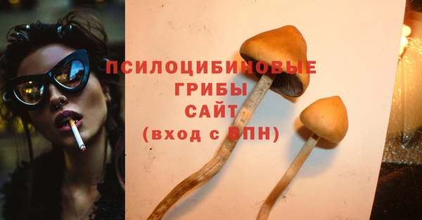 2c-b Абинск