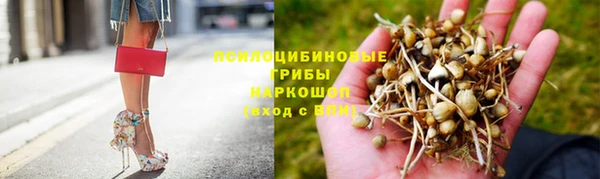 2c-b Михайлов