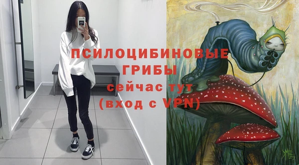 марки lsd Абаза