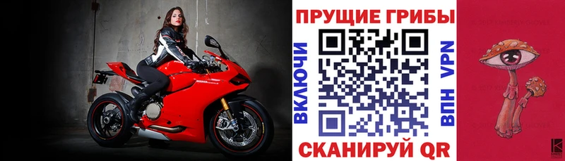 Галлюциногенные грибы GOLDEN TEACHER  закладка  Юрюзань 